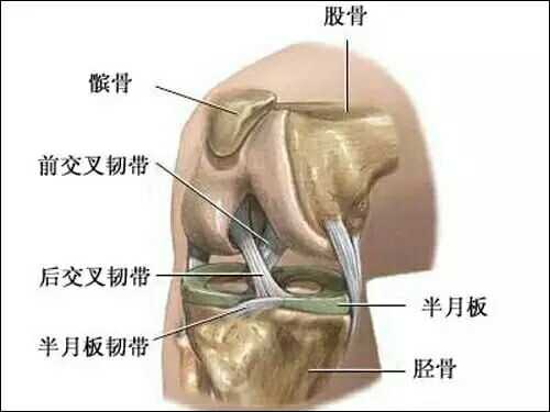 每天慢跑五公里对身体有什么好处 知乎