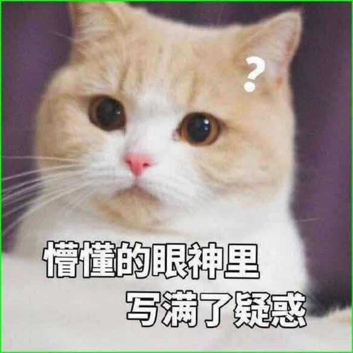 如何评价 琉璃 知乎