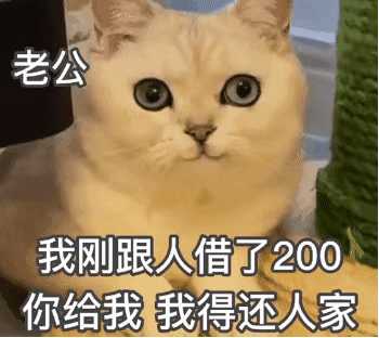 有什么搞笑的图片或者表情包