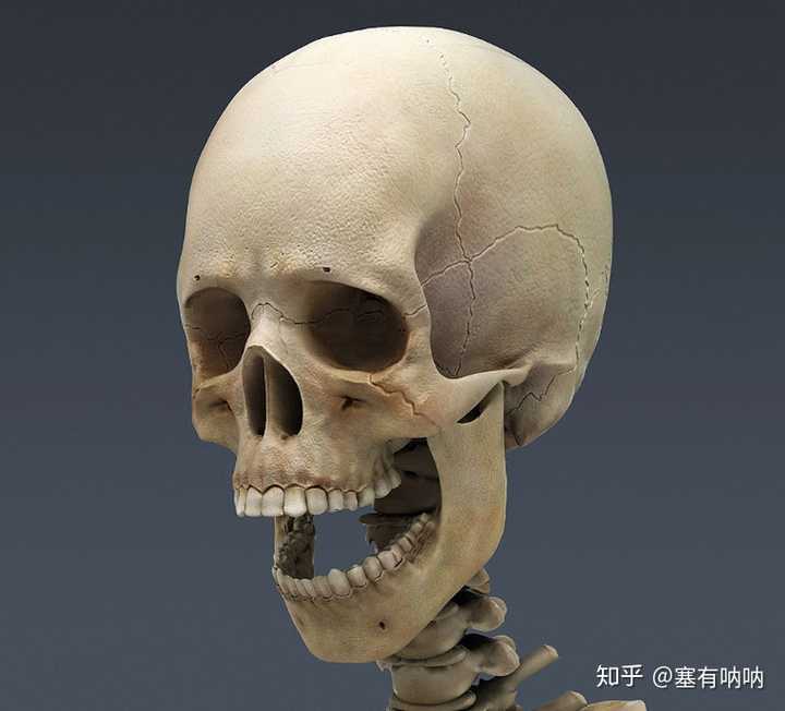 脸骨大怎样最完美瘦脸?