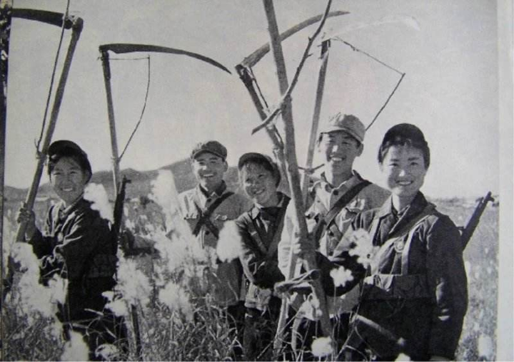 长柄镰刀的实际战斗价值如何? - 知乎