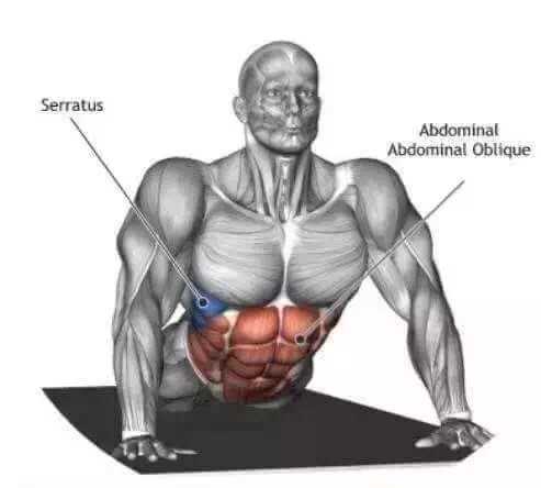 上半身很瘦但是肚子上肉很多 如何健身 知乎