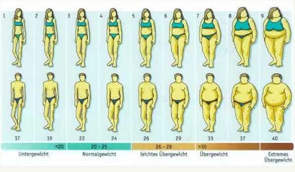 女性体脂率体型对照表图片