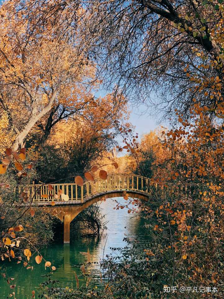 你认为你用手机拍的特好看的照片是哪些?