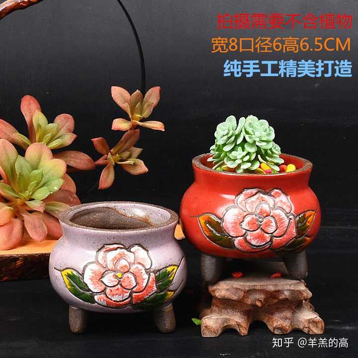 大家喜欢什么样的多肉花盆 知乎