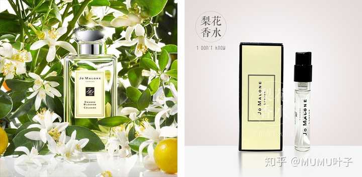 有什么男人普遍爱闻的女士香水 知乎