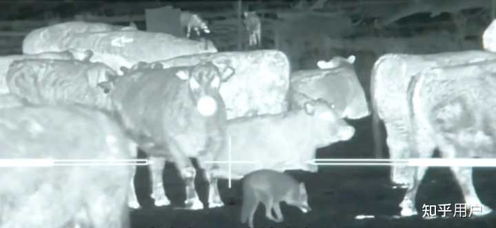 红外摄像头和红外热成像的原理有什么区别？ - 知乎