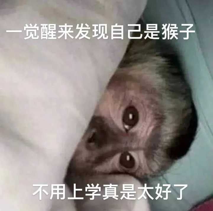 有没有让人眼前一亮又十分搞笑的沙雕文案？ 知乎