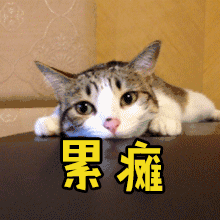 梅子 的想法: 又是累瘫的一天.