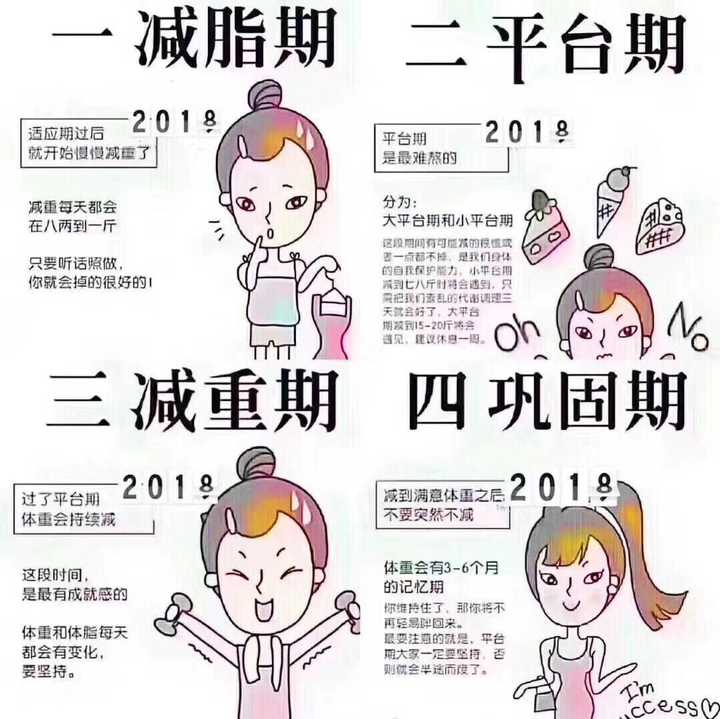 其实减肥有四个阶段的