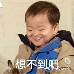 有没有让朋友圈人气暴涨的沙雕文案?