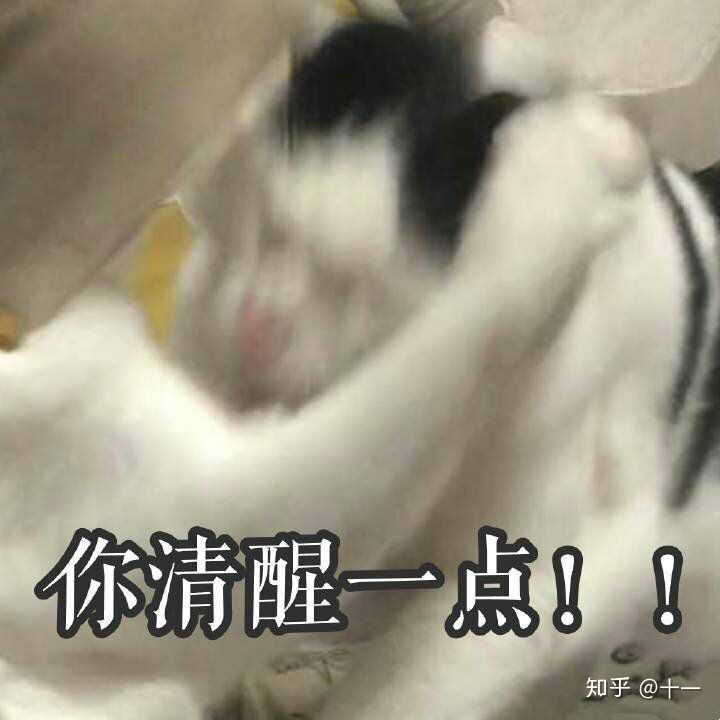 有哪些让“沙雕之魂”熊熊燃烧的朋友圈文案?