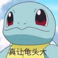 《精灵宝可梦》动画中的杰尼龟的表情包是怎么火的? - 知乎