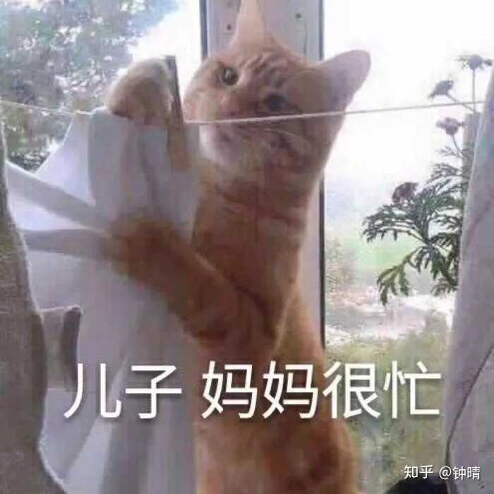 为什么橘猫总是喜欢咬人 知乎