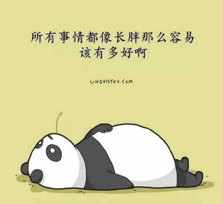 芬兰语究竟有多难?