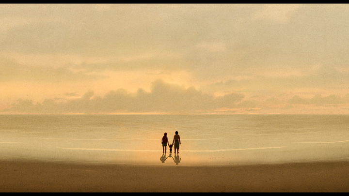 退休→复出→再退休→再复出《红海龟》温馨细腻的笔