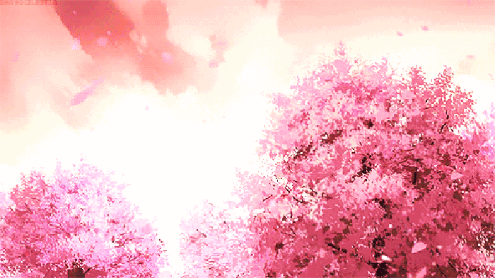 一旁的风掀起窗帘,不知道为什么有淡淡的樱花香.大概是