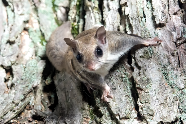 小时候的你，对课文有过哪些误解？