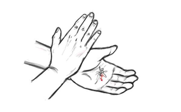 3,或者压根放任不管,任蚊子自生自灭?