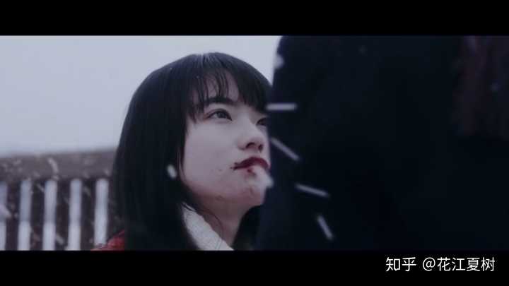 如何评价 三角草的春天 知乎 如何评价 三角草的春天 知乎