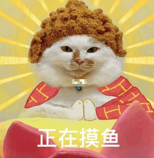 求这个猫猫表情包