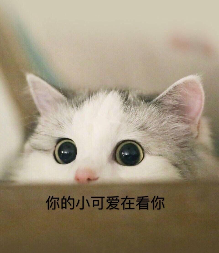 你最中意的一句文案是什么?
