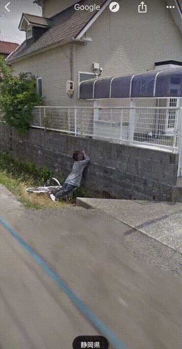 动图封面