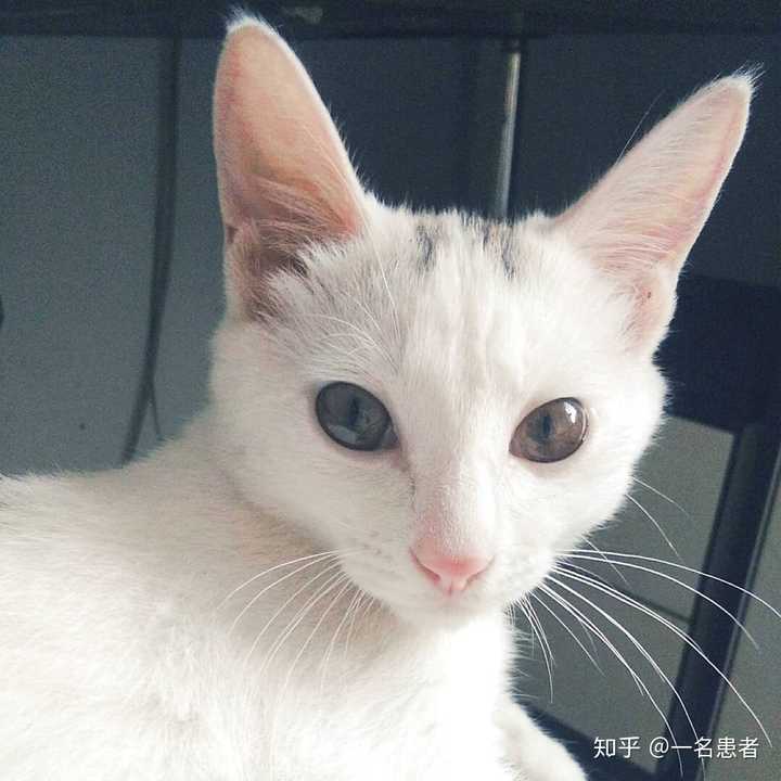 侠盗猎车手 Gta 5通关后 还能怎么玩 或者说还有哪些有趣的事情可以做 知乎