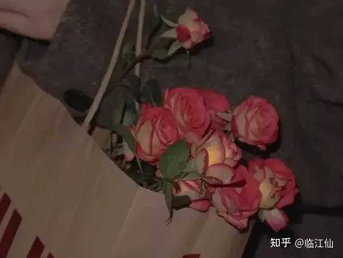 有哪些超好听的网名