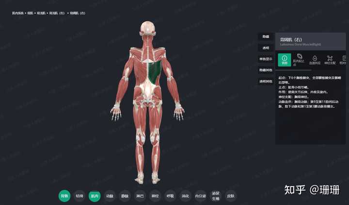 有什么医学3d运动功能解剖软件 ？ - 知乎