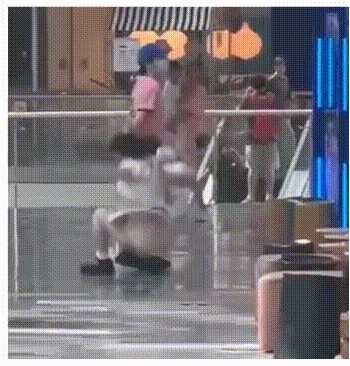 动图封面