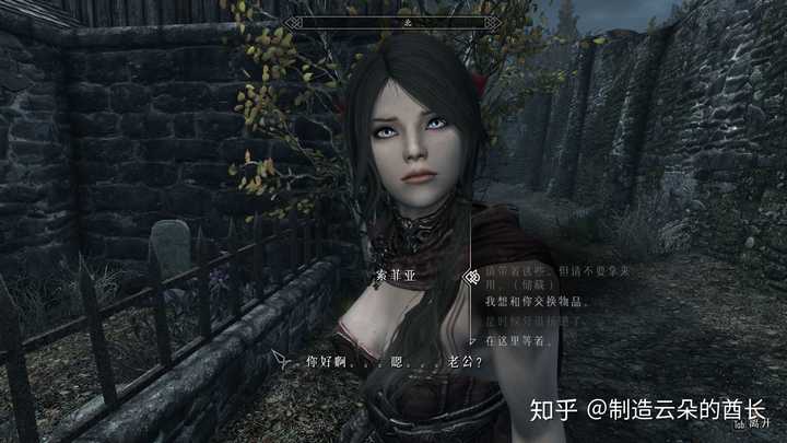 上古卷轴5有哪些比较有意思的mod 知乎