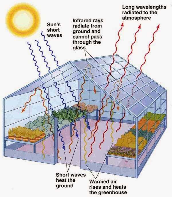 温室效应图解图片