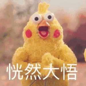 动图封面