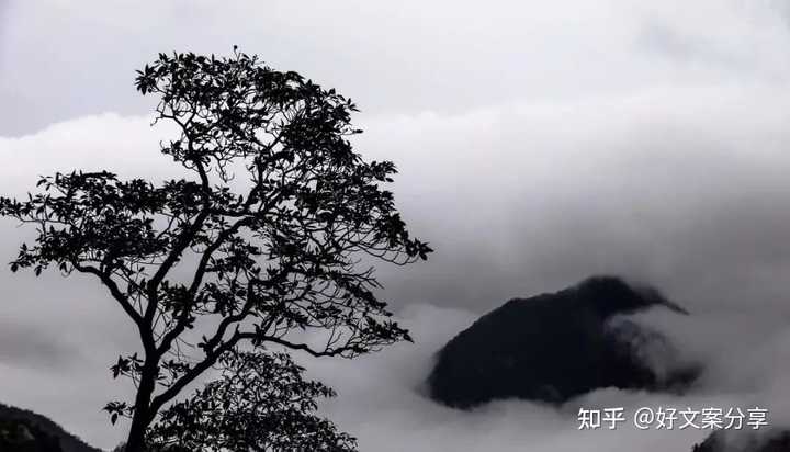 伤感的抖音热门文案
