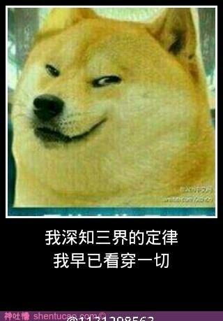 meme 中文是什麼？怎麼發音？為什麼會有meme？除了meme還有哪些常見英文網路用語？