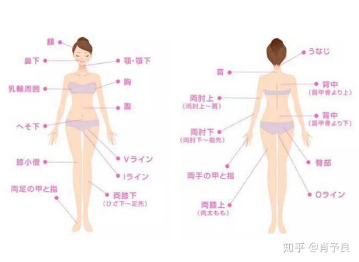 家用激光脱毛仪哪个牌子比较好 知乎