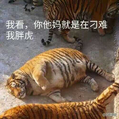 如何评价网易 我的世界 中国版客户端 知乎 如何评价网易 我的世界 中国版客户端 知乎