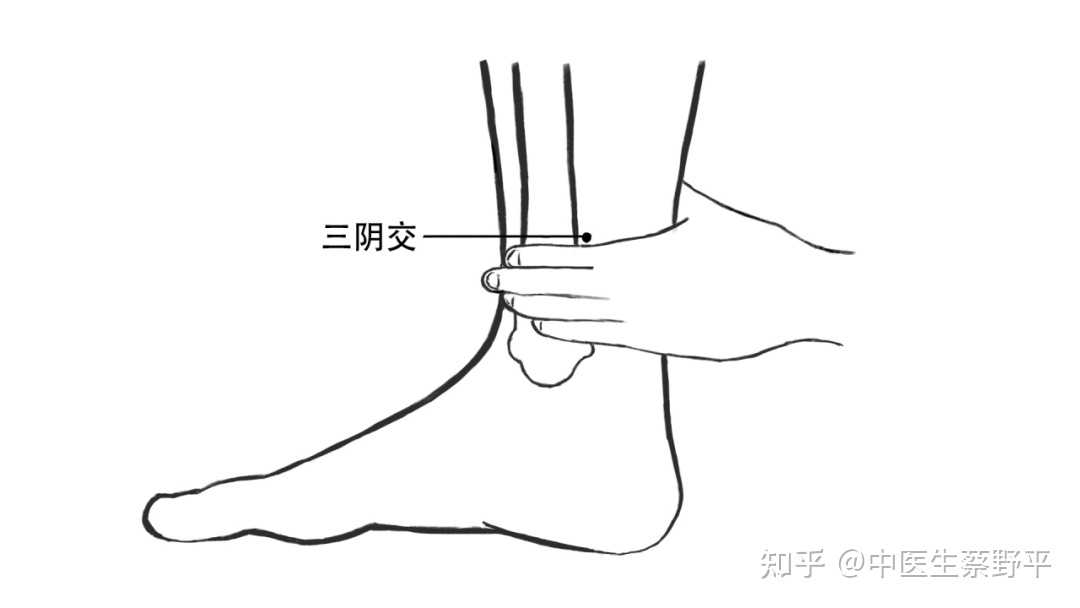 中医生蔡野平