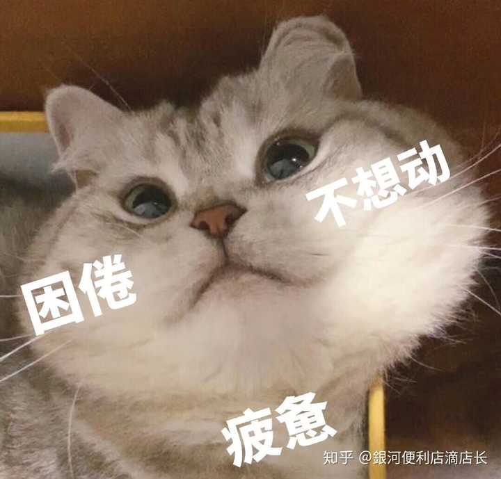黄头发