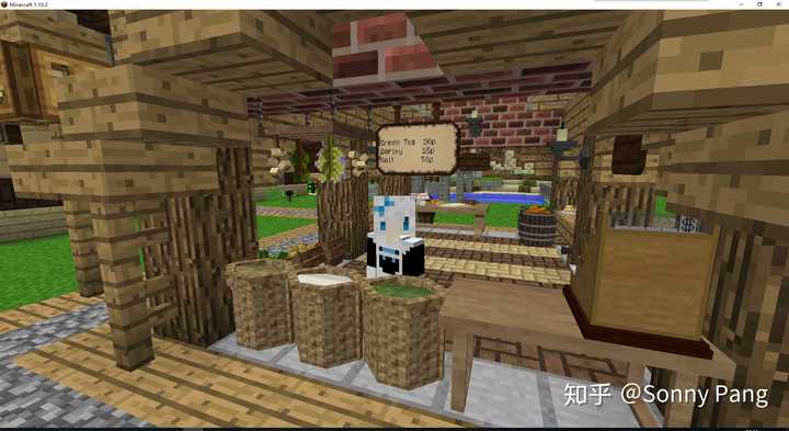 十周年了 你与我的世界 Minecraft 之间发生了什么 知乎