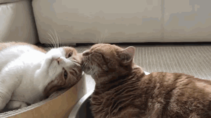 一个人的哪种行为让你觉得这个人值得深交?