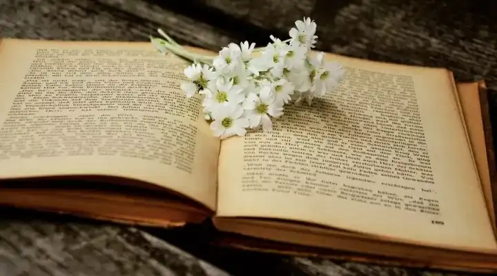 有哪些很美的英文诗 知乎 有哪些很美的英文诗 知乎