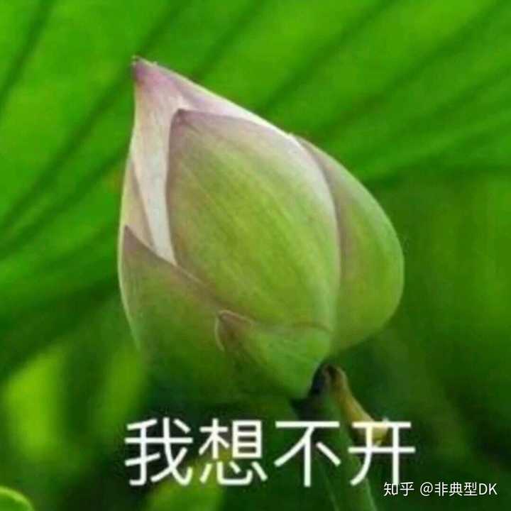 有哪些中老年女性适合的头像 知乎