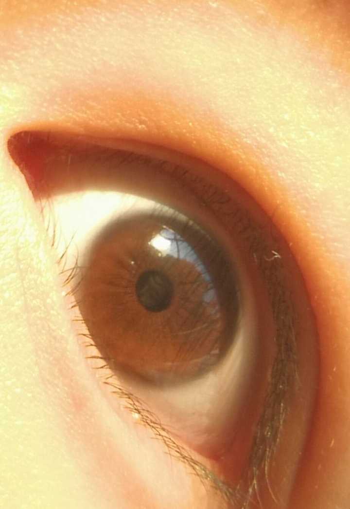 为什么中国人的眼睛是乍看像黑色的棕色而西方人眼睛的颜色很多