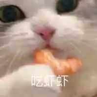 如何评价@野生珍妮?-如何评价野生珍妮