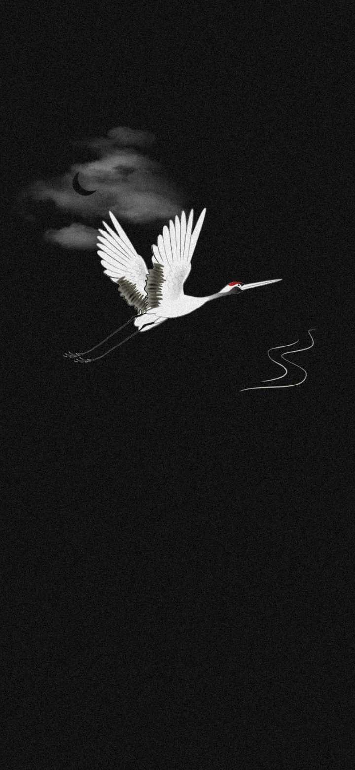 出自唐·韦应物《赠王侍御》 月下鹤 20191227 20200420更新