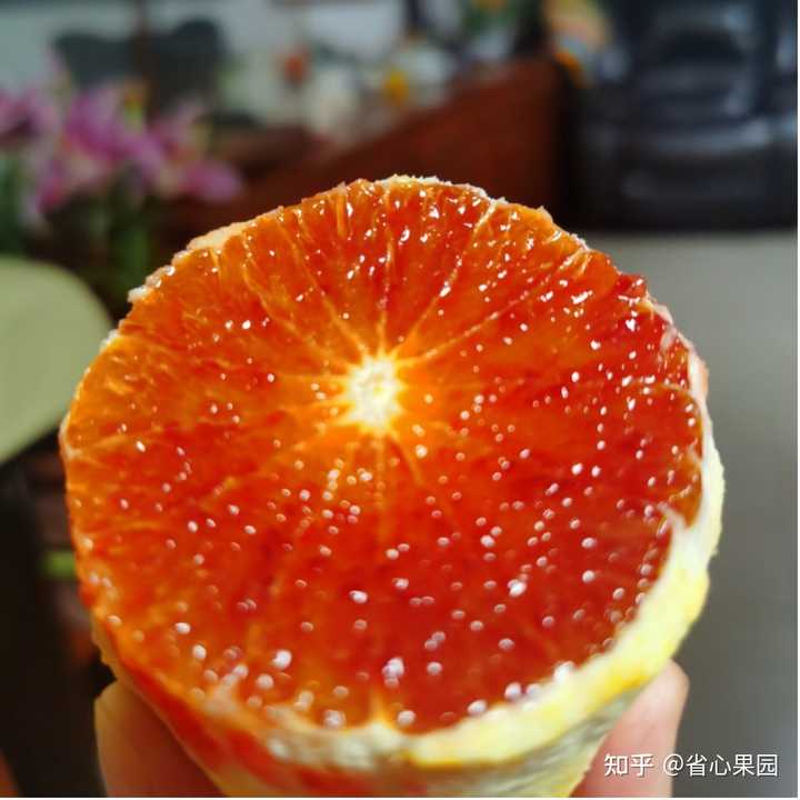 如何挑选新鲜又多汁的血橙? - 知乎