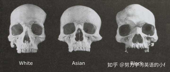 为什么欧美人十几岁看起来很老 而同龄的亚洲人却十分年轻 努力学习英语的小f 的回答 知乎 为什么欧美人十几岁看起来很老 而同龄的亚洲人却十分年轻 努力学习英语的小f 的回答 知乎