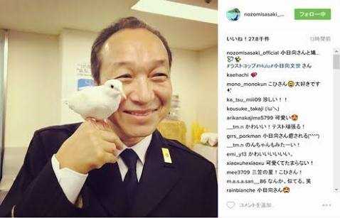 如何评价小日向文世在 真田丸 中的表演 知乎 如何评价小日向文世在 真田丸 中的表演 知乎